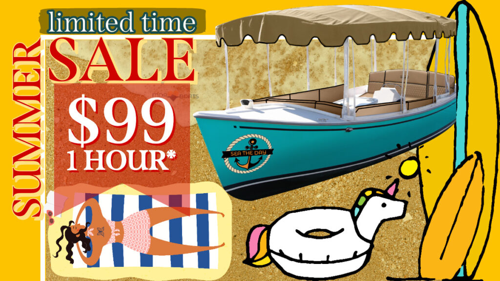 NEW 99 Duffy Rental Marina del Rey 1 Hour MDR Boats